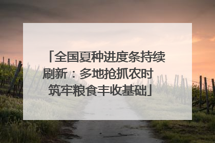 全国夏种进度条持续刷新：多地抢抓农时 筑牢粮食丰收基础