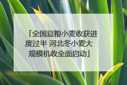 全国夏粮小麦收获进度过半 河北冬小麦大规模机收全面启动