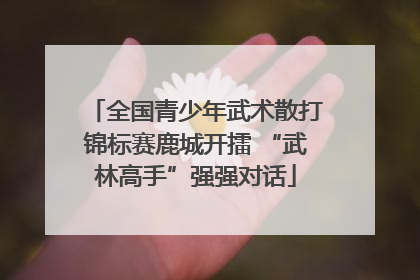 全国青少年武术散打锦标赛鹿城开擂 “武林高手”强强对话
