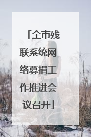 全市残联系统网络募捐工作推进会议召开