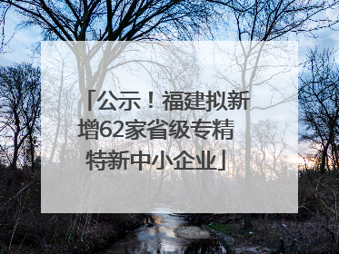 公示！福建拟新增62家省级专精特新中小企业