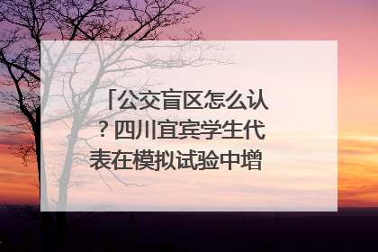 公交盲区怎么认？四川宜宾学生代表在模拟试验中增强乘车安全意识