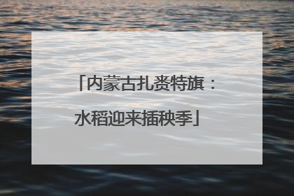 内蒙古扎赉特旗：水稻迎来插秧季