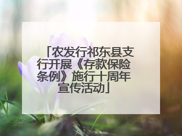 农发行祁东县支行开展《存款保险条例》施行十周年宣传活动