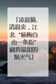 凌晨摘、清晨卖，江北“杨梅自由一条街”藏着最甜的烟火气