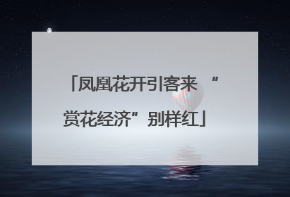 凤凰花开引客来 “赏花经济”别样红
