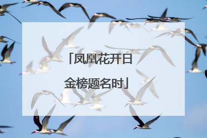 凤凰花开日 金榜题名时