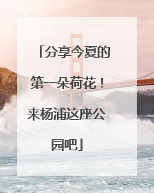 分享今夏的第一朵荷花！来杨浦这座公园吧