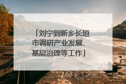 刘宁到新乡长垣市调研产业发展、基层治理等工作
