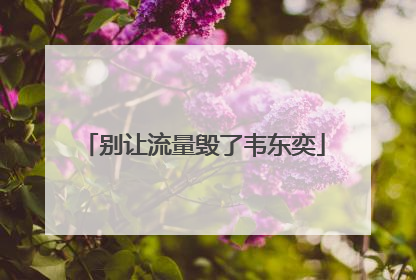 别让流量毁了韦东奕