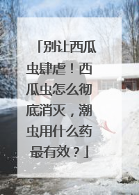 别让西瓜虫肆虐！西瓜虫怎么彻底消灭，潮虫用什么药最有效？