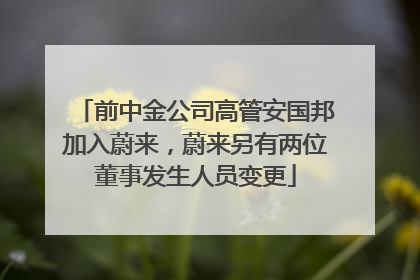 前中金公司高管安国邦加入蔚来，蔚来另有两位董事发生人员变更