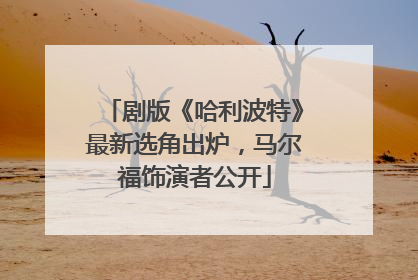 剧版《哈利波特》最新选角出炉，马尔福饰演者公开
