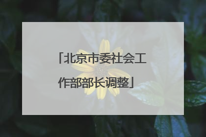 北京市委社会工作部部长调整