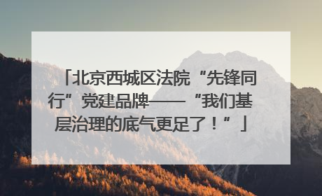 北京西城区法院“先锋同行”党建品牌——“我们基层治理的底气更足了！”