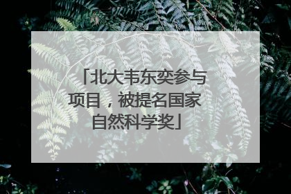 北大韦东奕参与项目，被提名国家自然科学奖