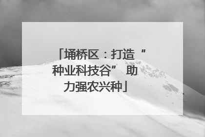 埇桥区：打造“种业科技谷” 助力强农兴种