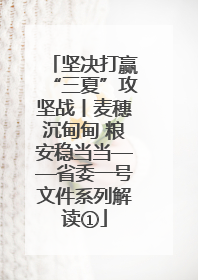 坚决打赢“三夏”攻坚战丨麦穗沉甸甸 粮安稳当当——省委一号文件系列解读①