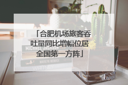 合肥机场旅客吞吐量同比增幅位居全国第一方阵