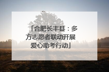 合肥长丰县：多方志愿者联动开展爱心助考行动