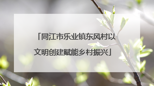 同江市乐业镇东风村以文明创建赋能乡村振兴