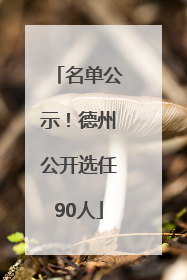 名单公示！德州公开选任90人