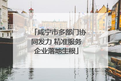 咸宁市多部门协同发力 精准服务企业落地生根
