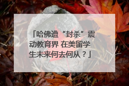 哈佛遭“封杀”震动教育界 在美留学生未来何去何从？