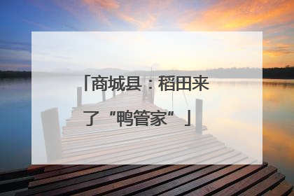 商城县：稻田来了“鸭管家”