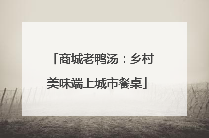 商城老鸭汤：乡村美味端上城市餐桌