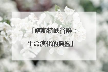 喀斯特峡谷群：生命演化的摇篮