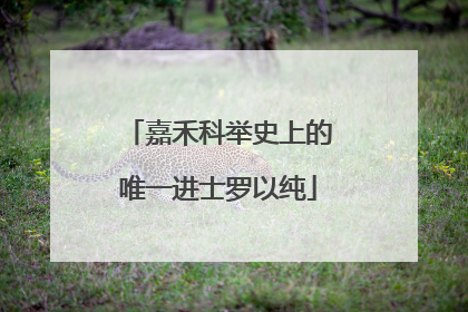 嘉禾科举史上的唯一进士罗以纯