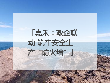 嘉禾：政企联动 筑牢安全生产“防火墙”