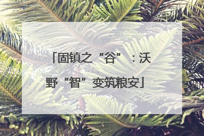 固镇之“谷”：沃野“智”变筑粮安