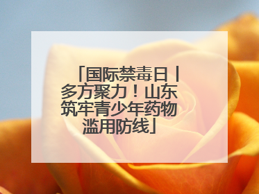 国际禁毒日丨多方聚力！山东筑牢青少年药物滥用防线