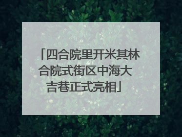 四合院里开米其林 合院式街区中海大吉巷正式亮相