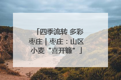 四季流转 多彩枣庄｜枣庄：山区小麦“喜开镰”