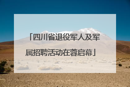 四川省退役军人及军属招聘活动在蓉启幕