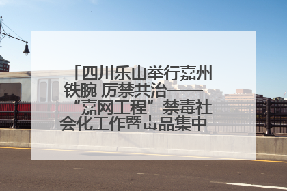 四川乐山举行嘉州铁腕 厉禁共治——“嘉网工程”禁毒社会化工作暨毒品集中销毁启动仪式