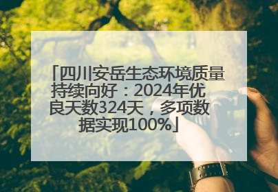 四川安岳生态环境质量持续向好：2024年优良天数324天，多项数据实现100%
