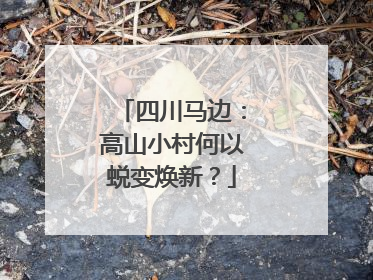 四川马边：高山小村何以蜕变焕新？
