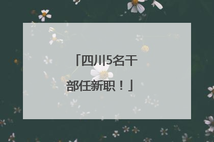 四川5名干部任新职！