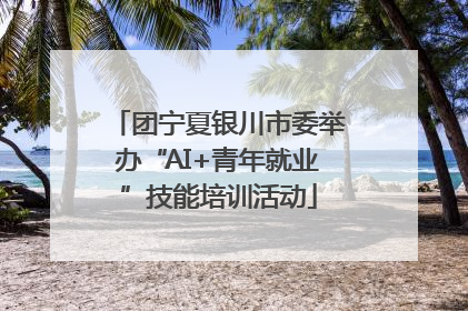 团宁夏银川市委举办“AI+青年就业”技能培训活动