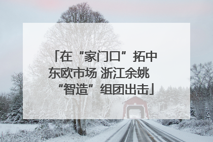 在“家门口”拓中东欧市场 浙江余姚“智造”组团出击