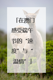 在澳门感受端午节的“速度”与“温情”