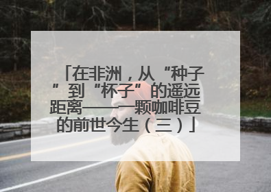 在非洲，从“种子”到“杯子”的遥远距离——一颗咖啡豆的前世今生（三）