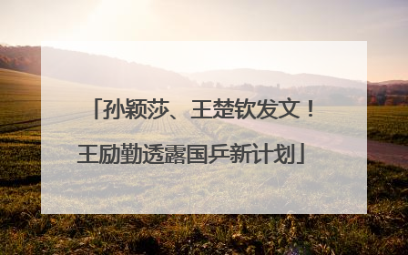 孙颖莎、王楚钦发文！王励勤透露国乒新计划