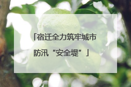 宿迁全力筑牢城市防汛“安全堤”