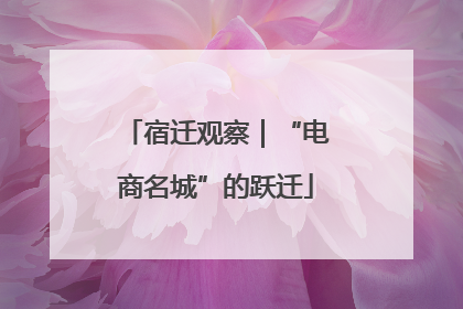 宿迁观察｜“电商名城”的跃迁