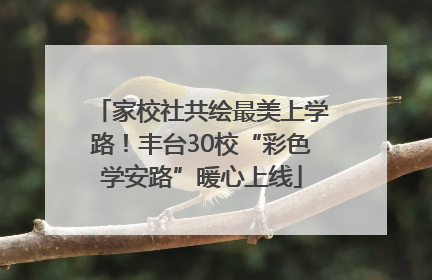 家校社共绘最美上学路！丰台30校“彩色学安路”暖心上线